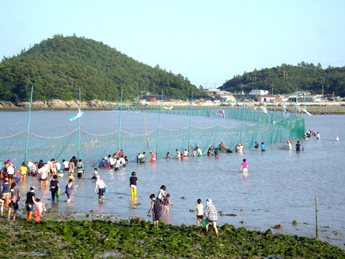 진도 접도어촌체험마을