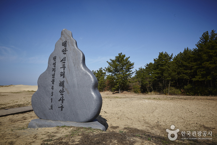 태안 신두리 해안사구