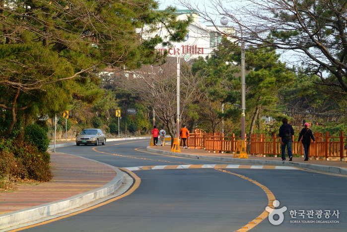 해운대 달맞이길