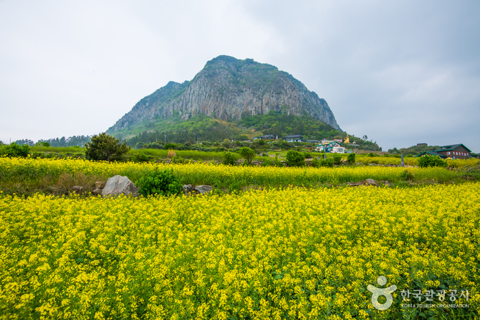 산방산(제주)