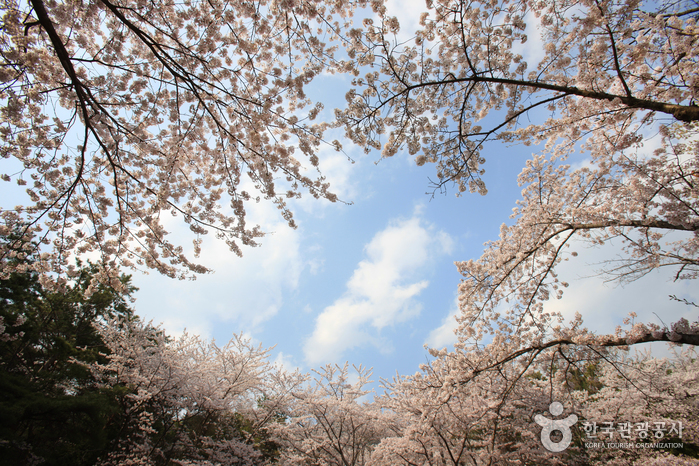 장복산조각공원