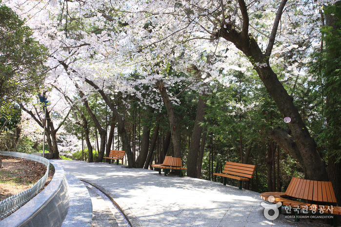 제황산공원