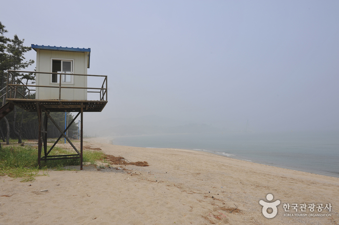 원평 해수욕장