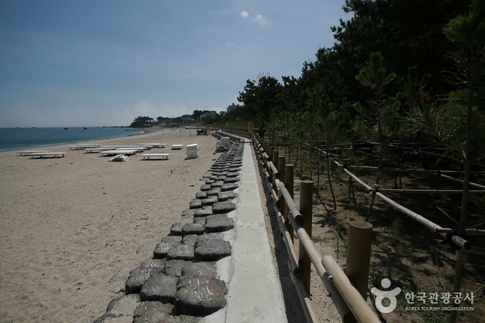 오류고아라해변